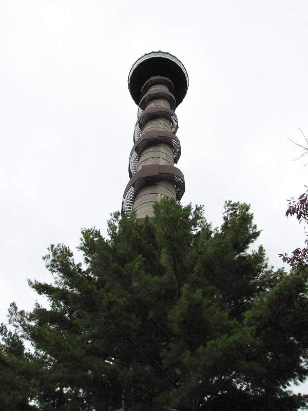 Der Skydeck Tower