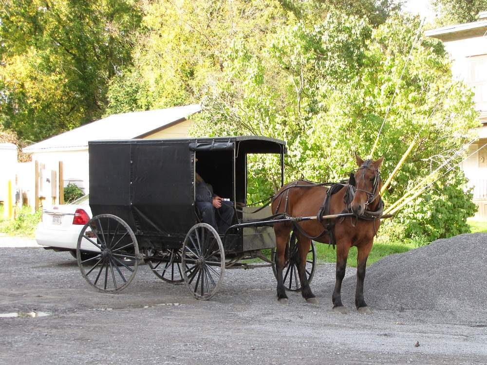 Amish in Heuvelton