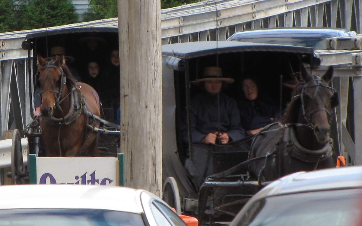 Amish in Heuvelton