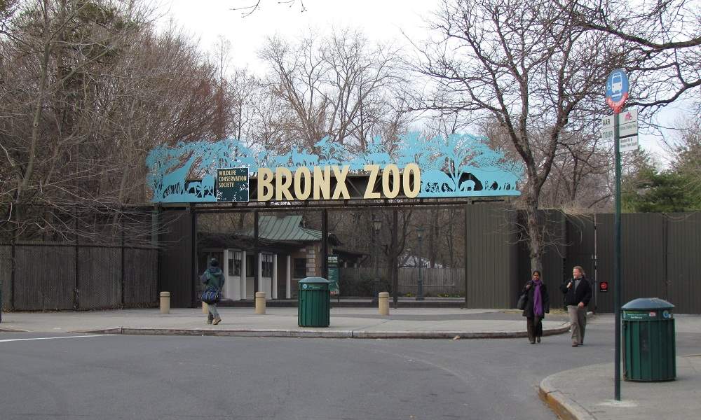 Bronx Zoo - New York City